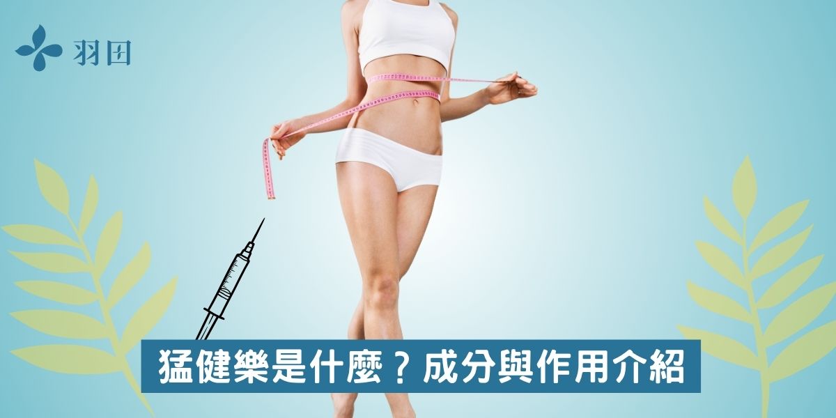 猛健樂是什麼?