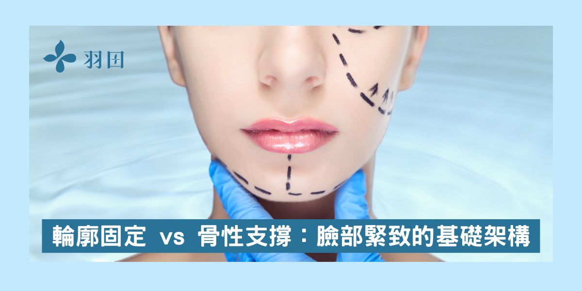輪廓固定 vs 骨性支撐：臉部緊致的基礎架構