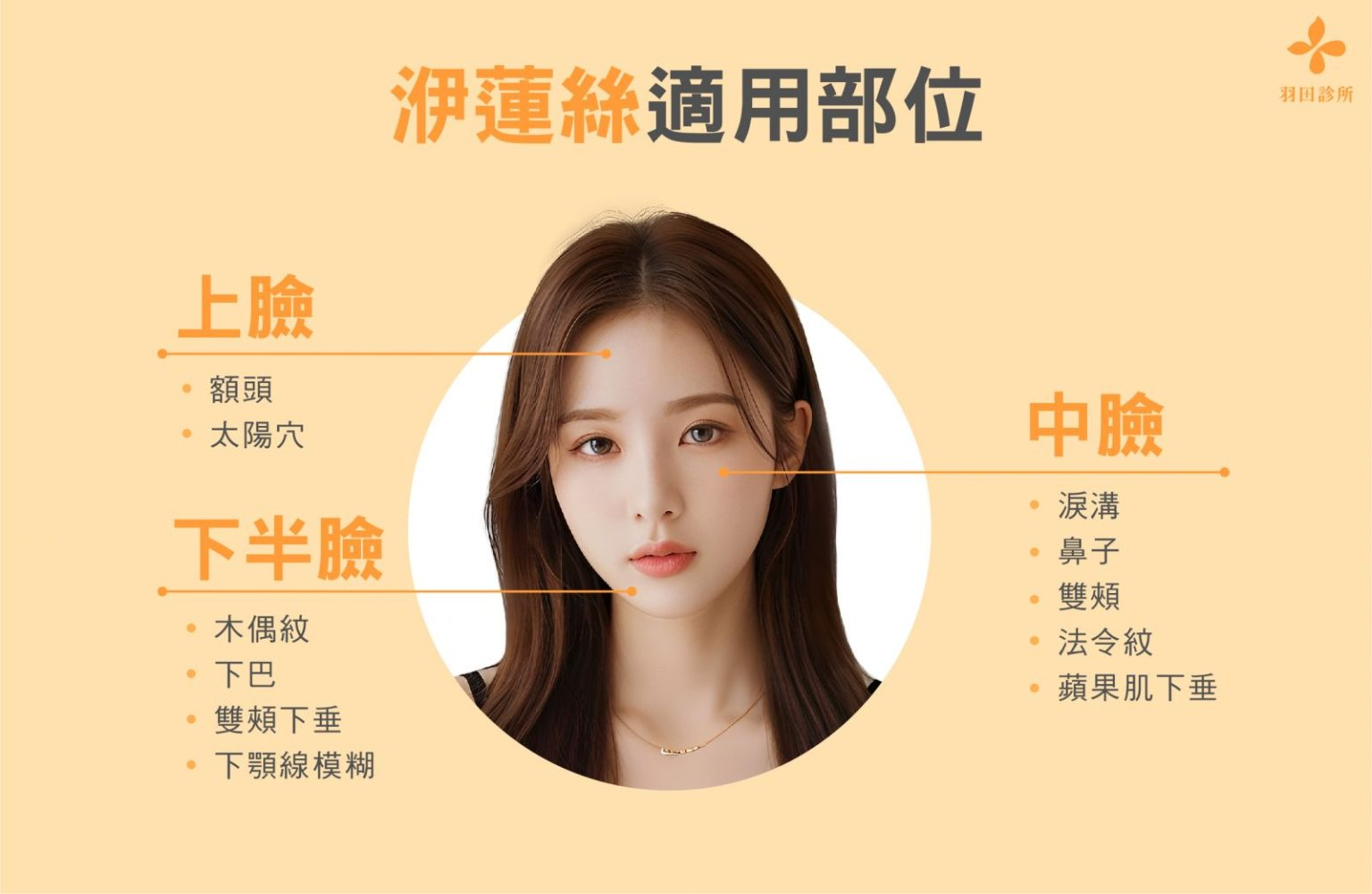 適用部位與效果
