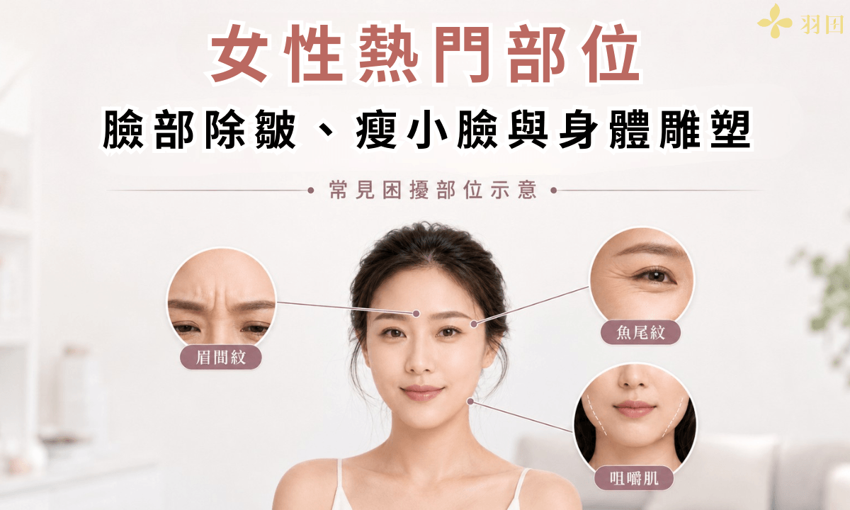 女性熱門部位:臉部除皺、瘦小臉與身體雕塑