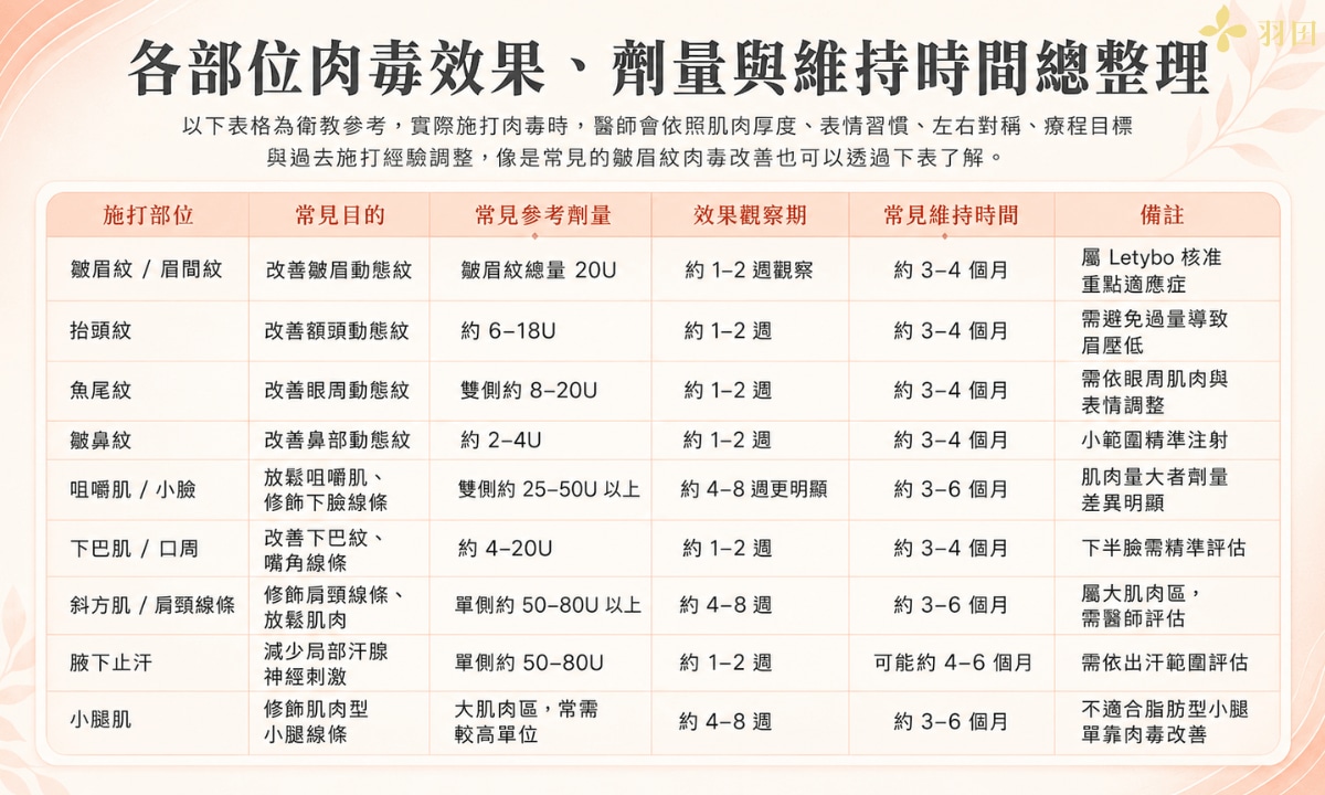 各部位肉毒效果、劑量與維持時間總整理