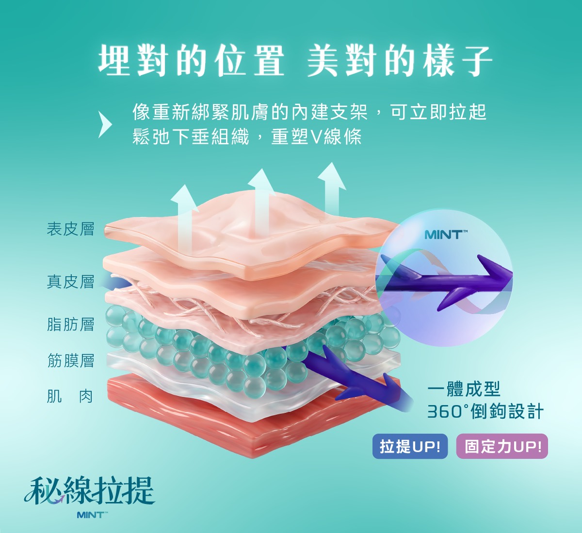 秘線拉提 360 度立體結構搭配細緻線材示意